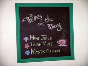 african violet photo