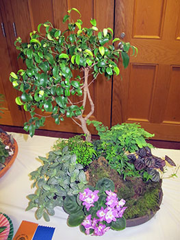 Best Container Garden