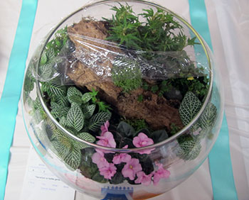 best cotainer garden