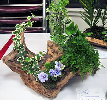 AVSP - Best Container Garden